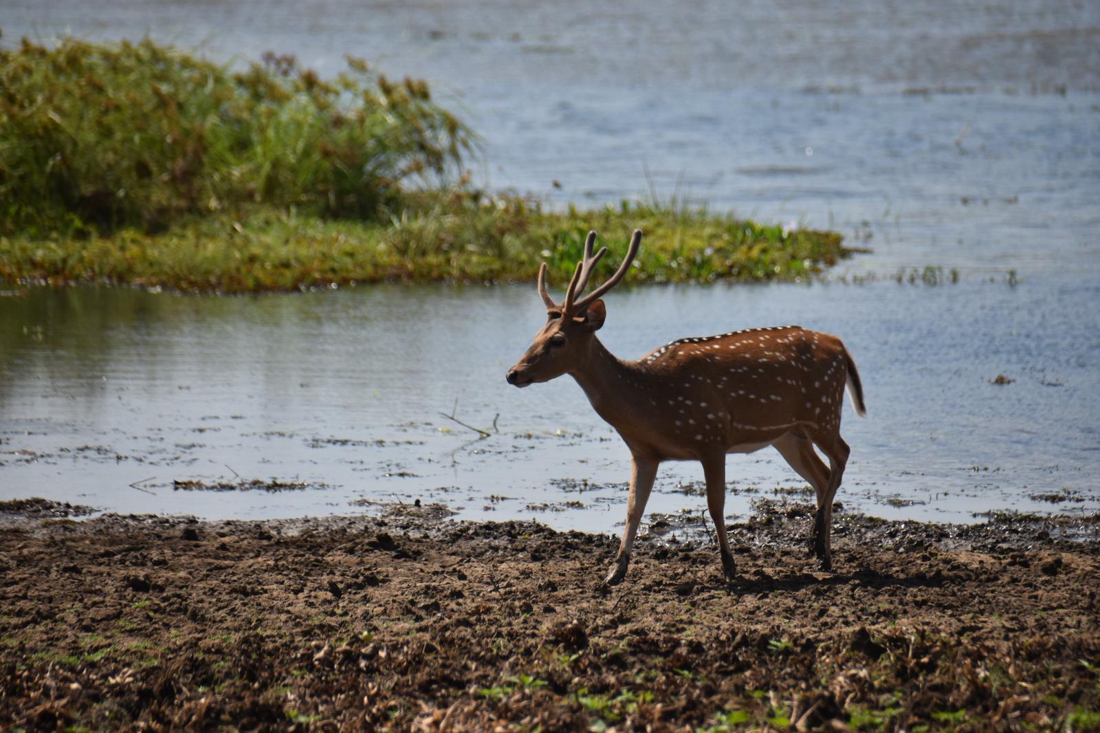 WhatsApp Image 2026-02-28 at 04.11.57 (1)