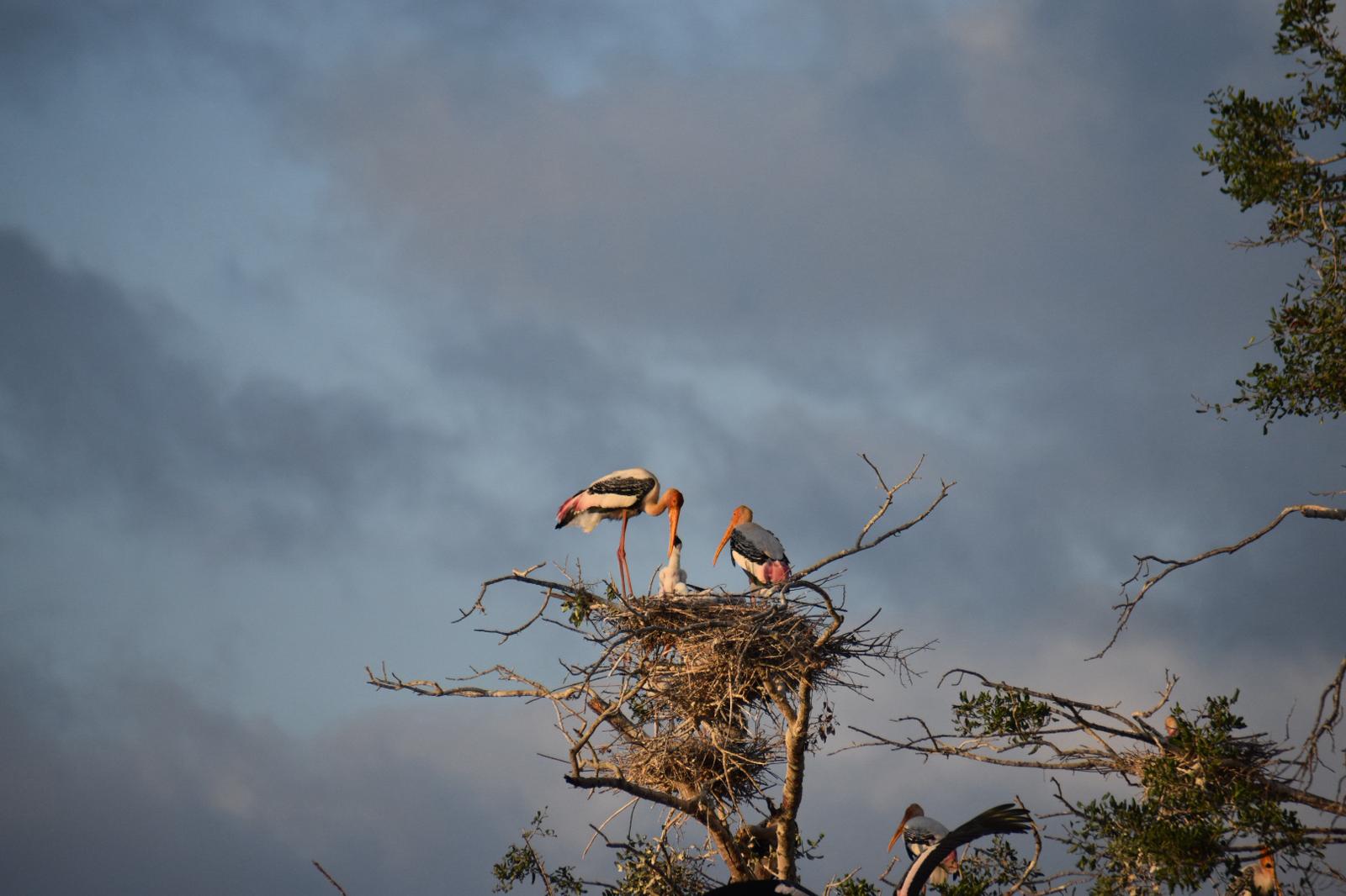 WhatsApp Image 2026-02-28 at 04.11.57