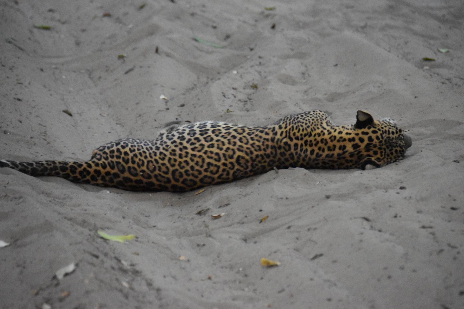 WhatsApp Image 2026-02-28 at 04.11.58