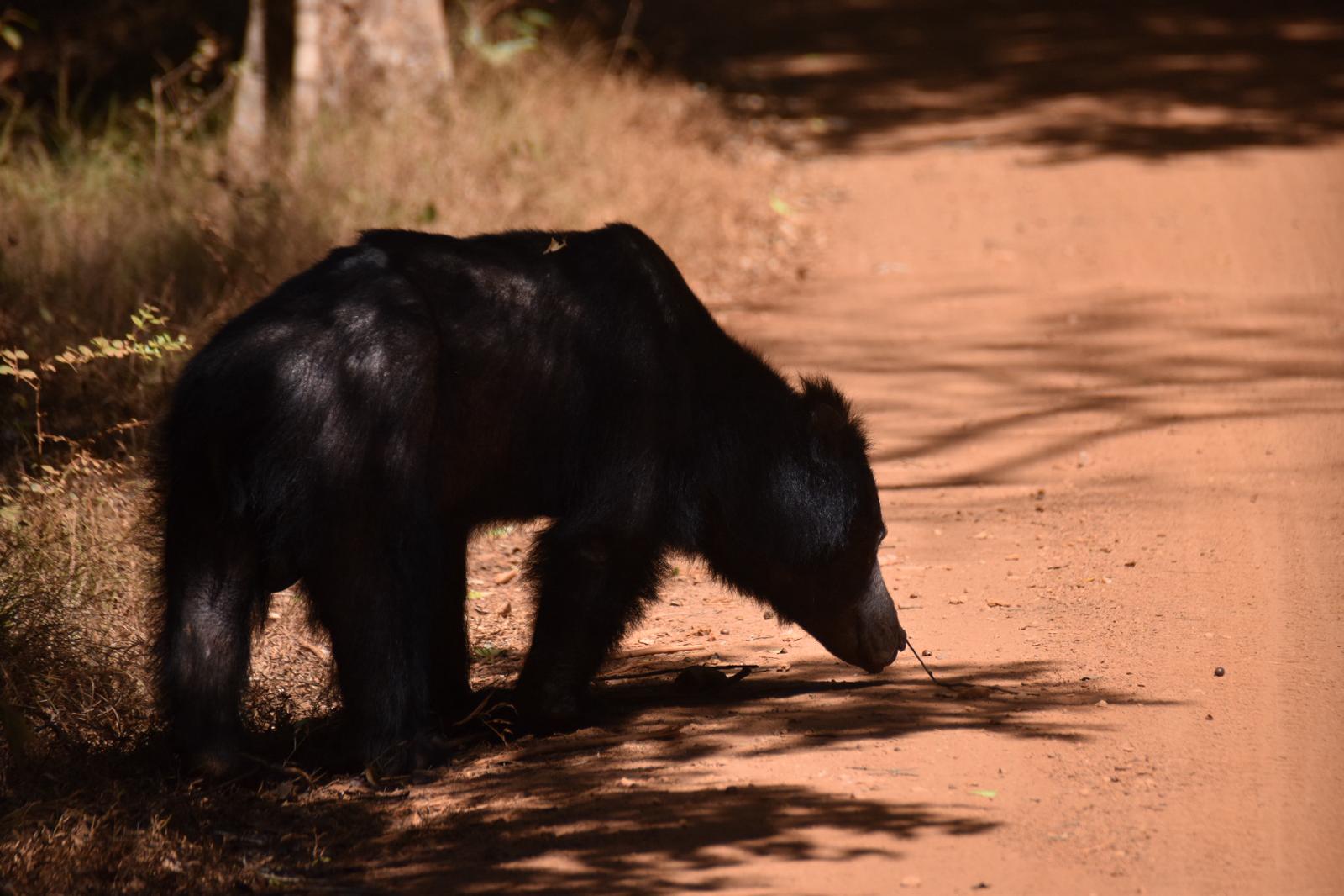 WhatsApp Image 2026-02-28 at 04.13.07