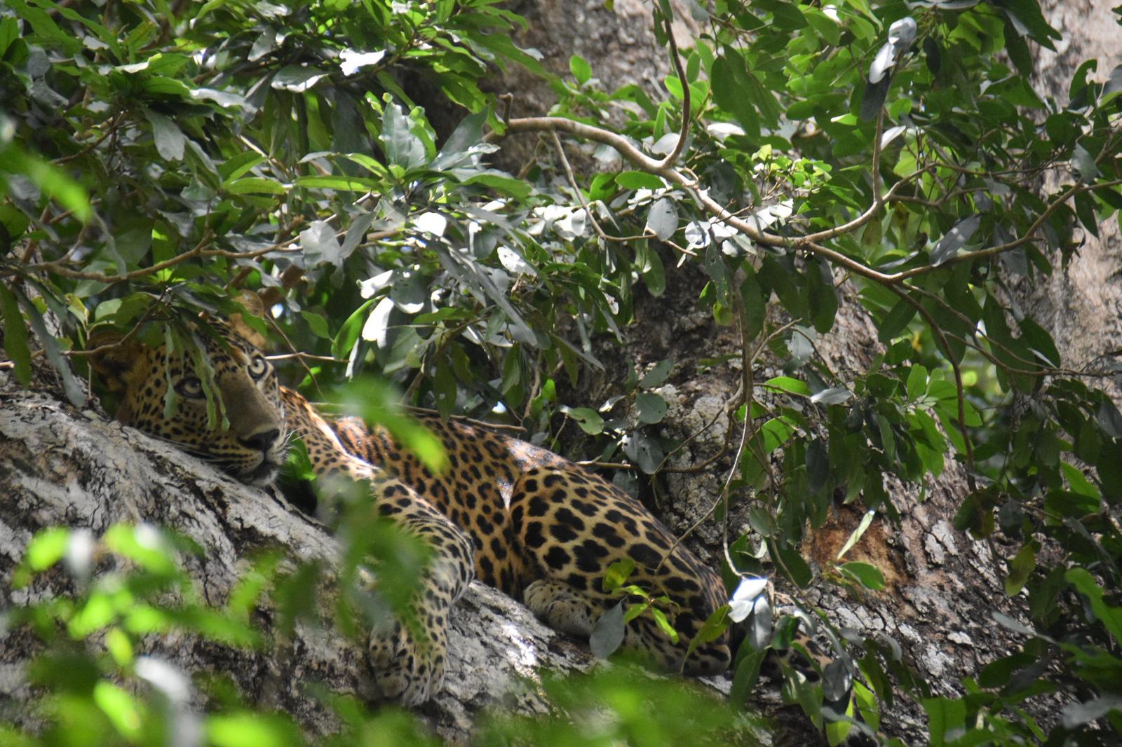 WhatsApp Image 2026-02-28 at 04.13.08 (1)